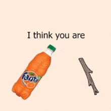 a bottle of fanta orange soda next to a stick