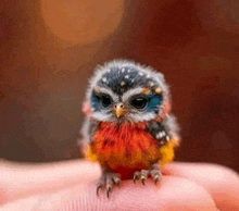 a small bird is sitting on a person 's finger