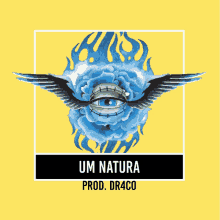 a logo for um natura has a blue rose with wings and an eye