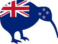 a silhouette of a kiwi with the flag of new zealand