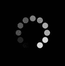 a circle of dots on a black background with a white center