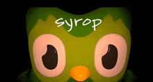 a cartoon owl with syrop written on its face