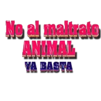 a sign says no al maltrato animal ya basta