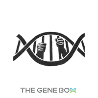 a black and white drawing of a dna molecule with hands behind bars and the words the gene box below it