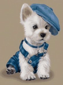 a small white dog wearing overalls and a hat