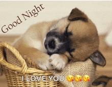 a puppy sleeping in a wicker basket with the words good night i love you above it