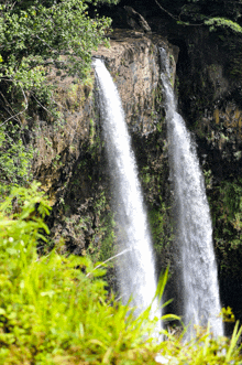 a waterfall is surrounded by trees and grass