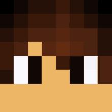 a close up of a minecraft face with brown hair