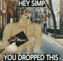 a doge with muscles is holding a wallet and saying `` hey simp , you dropped this '' .