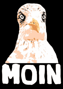 an eagle with the word moin written below it