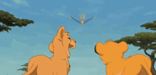 a couple of cartoon animals looking up at a bird flying in the sky