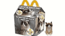 a mcdonald 's happy meal box with grumpy cat in it