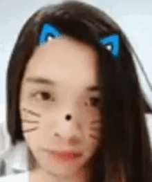 a close up of a woman 's face with a cat face filter on her face .