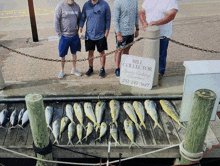 a group of men standing next to a sign that says bill collector sports fishing charters