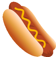 a hot dog with mustard on a bun