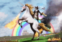 a cat is riding on the back of a unicorn in a field with a rainbow in the background .