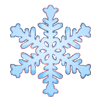 a blue snowflake on a white background with a red border