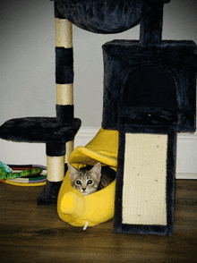 a kitten is sitting in a yellow banana shaped cat bed