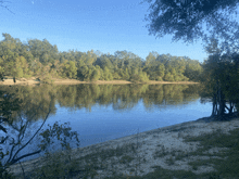 a large body of water surrounded by trees with a blue sky in the background