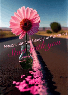 a pink flower in a vase with the words " always see the beauty in the world start with you " below it