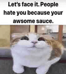 let 's face it , people hate you because your awsome sauce