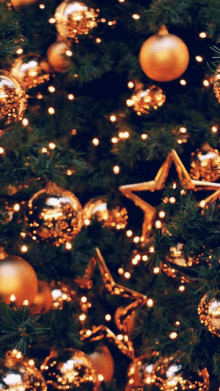 a close up of a christmas tree decorated in gold