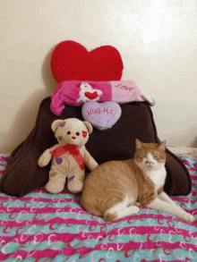 a cat and a teddy bear are laying on a bed next to a pillow that says hug me