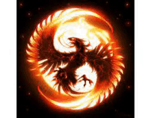 a phoenix is surrounded by flames in a circle on a black background .