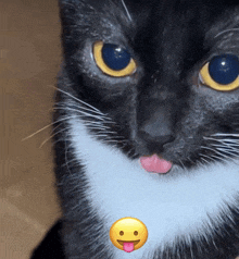 a close up of a black and white cat with a yellow smiley face on its neck