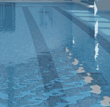 a swimming pool with blue tiles and a drain on the floor