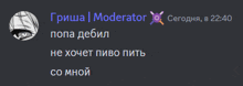 a screenshot of a discord conversation with the name moderator on it