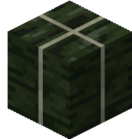 a block in minecraft that looks like a stack of money wrapped in tape .