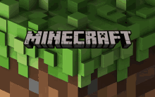 a picture of a minecraft game with green blocks