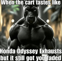 a black panther with the words when the cart tastes like honda odyssey exhausts but it still got you faded on the bottom