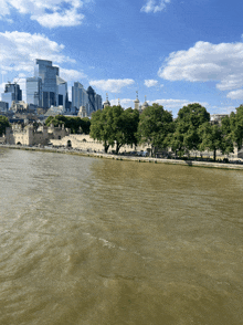 a large body of water is surrounded by trees and buildings