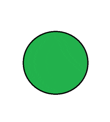 a green circle on a white background with a black outline