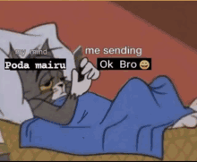 a cartoon of a cat laying on a bed with the caption " my mind poda mairu me sending ok bro "