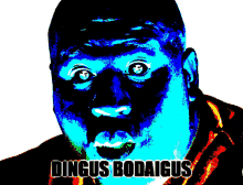 a man with a surprised look on his face and the name dingus bodaius written below him