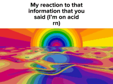 a rainbow colored background with the words " my reaction to that information that you said "