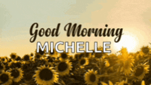 a field of sunflowers with the words " good morning michelle "