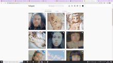 a screenshot of the instagram website shows a cat and a girl