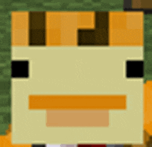 a close up of a minecraft character 's face with a beard and mustache .