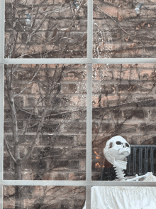 a skeleton is sitting in front of a window