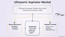 a diagram showing the ultrasonic aspirator market