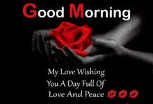 a person holding a red rose in their hands with the words " good morning my love wishing you a day full of love and peace "