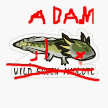 a drawing of an axolotl with the word adam written above it .