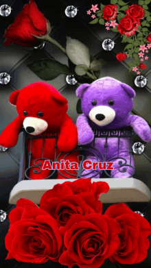 a red teddy bear and a purple teddy bear with the name anita cruz