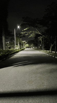 an empty street with trees on both sides and a street light