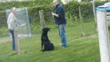 a man and a woman are talking to a dog in a yard