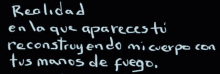 a black background with white writing that says realidad en la que apareces tu reconstruyendo mi cuerpo con tus manos de fuego